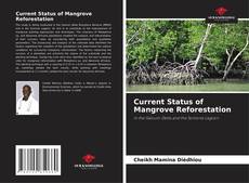 Couverture de Current Status of Mangrove Reforestation