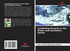 Combating Poverty in the Water and Sanitation Sector kitap kapağı