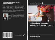 Copertina di Industrias a pequeña escala: problemas y retos