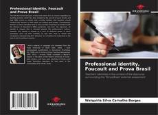 Buchcover von Professional identity, Foucault and Prova Brasil