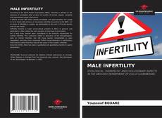 Bookcover of MALE INFERTILITY