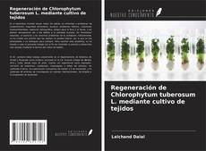 Copertina di Regeneración de Chlorophytum tuberosum L. mediante cultivo de tejidos