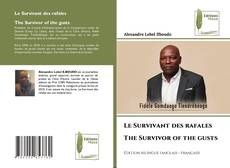 Copertina di Le Survivant des rafales The Survivor of the gusts