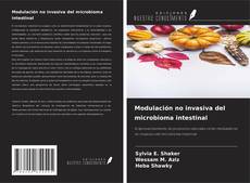 Modulación no invasiva del microbioma intestinal kitap kapağı