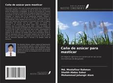 Copertina di Caña de azúcar para masticar