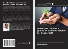 Copertina di Incentivos fiscales y pymes en Zambia: estudio del Copperbelt