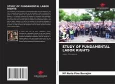 STUDY OF FUNDAMENTAL LABOR RIGHTS的封面