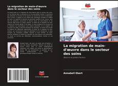 Copertina di La migration de main-d'œuvre dans le secteur des soins