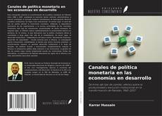 Copertina di Canales de política monetaria en las economías en desarrollo