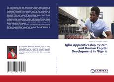 Bookcover of Igbo Apprenticeship System and Human Capital Development in Nigeria