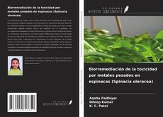 Copertina di Biorremediación de la toxicidad por metales pesados en espinacas (Spinacia oleracea)