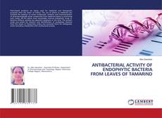 Обложка ANTIBACTERIAL ACTIVITY OF ENDOPHYTIC BACTERIA FROM LEAVES OF TAMARIND