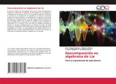 Borítókép a  Descomposición no algebraica de Lie - hoz
