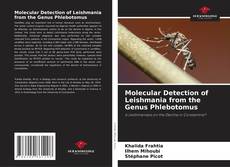 Bookcover of Molecular Detection of Leishmania from the Genus Phlebotomus