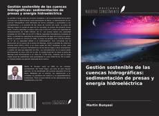Copertina di Gestión sostenible de las cuencas hidrográficas: sedimentación de presas y energía hidroeléctrica