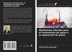 Buchcover von Membranas híbridas para el tratamiento de aguas y la separación de gases