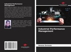 Bookcover of Industrial Performance Management