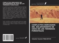 Couverture de CONFLICTOS DERIVADOS DEL SOLAPAMIENTO DE USOS DE LOS TERRENOS FORESTALES
