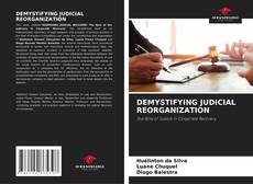 Bookcover of DEMYSTIFYING JUDICIAL REORGANIZATION