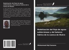 Couverture de Modelización del flujo de aguas subterráneas y del balance hídrico de la cuenca de Wukro