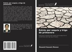 Buchcover von Estrés por sequía y trigo de primavera
