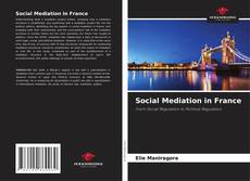 Bookcover of Social Mediation in France