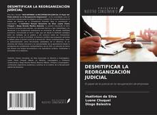 Copertina di DESMITIFICAR LA REORGANIZACIÓN JUDICIAL