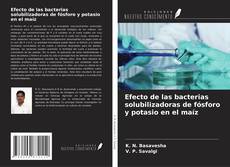 Copertina di Efecto de las bacterias solubilizadoras de fósforo y potasio en el maíz