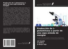 Copertina di Producción de L-glutaminasa a partir de una cepa aislada de manglar