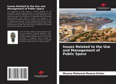 Issues Related to the Use and Management of Public Space kitap kapağı