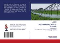 Bookcover of Sugarcane Irrigation in Ethiopia