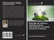Buchcover von Reciclaje de células y módulos solares fotovoltaicos: el estado actual de la técnica