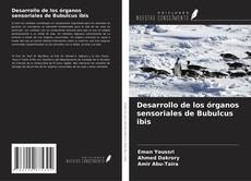 Buchcover von Desarrollo de los órganos sensoriales de Bubulcus ibis