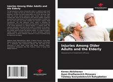 Capa do livro de Injuries Among Older Adults and the Elderly 