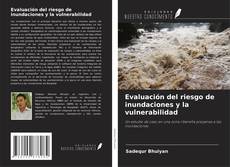 Copertina di Evaluación del riesgo de inundaciones y la vulnerabilidad