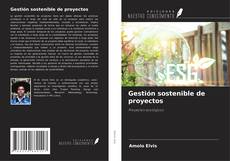 Gestión sostenible de proyectos kitap kapağı