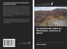 Buchcover von La minería del cobre en Minnesota: ¿merece la pena?