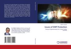 Buchcover von Issues of EMP Protection