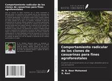 Buchcover von Comportamiento radicular de los clones de casuarinas para fines agroforestales
