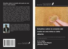 Copertina di Estudios sobre la erosión del suelo en una mina a cielo abierto