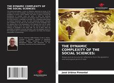 Bookcover of THE DYNAMIC COMPLEXITY OF THE SOCIAL SCIENCES: