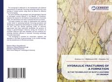 Bookcover of HYDRAULIC FRACTURING OF A FORMATION