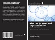 Copertina di Adsorción de gas natural en nanomateriales carbonosos