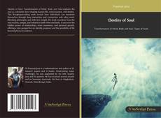 Portada del libro de Destiny of Soul
