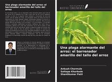 Buchcover von Una plaga alarmante del arroz: el barrenador amarillo del tallo del arroz