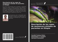 Couverture de Descripción de las cepas de neumococo aisladas de pacientes en Etiopía