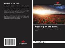 Bookcover of Meaning on the Brink