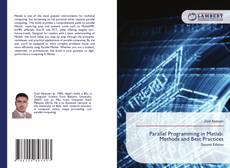 Parallel Programming in Matlab: Methods and Best Practices kitap kapağı
