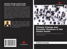 Climate Change and Parasitic Diseases in the Global South: kitap kapağı