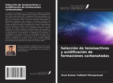 Buchcover von Selección de tensioactivos y acidificación de formaciones carbonatadas
